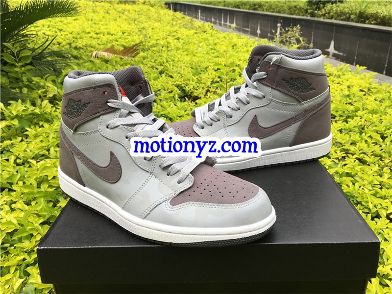 Air Jordan 1 Retro High Camo In Cool Grey